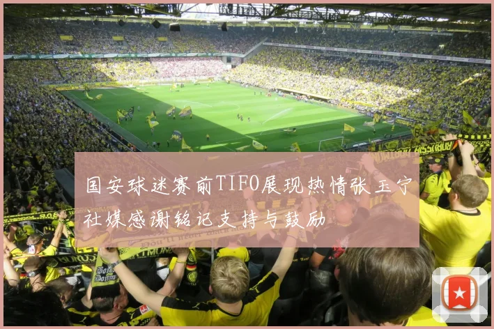 国安球迷赛前TIFO展现热情张玉宁社媒感谢铭记支持与鼓励